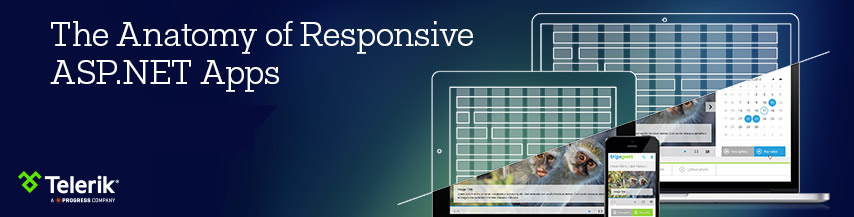 responsive_dotnet_header