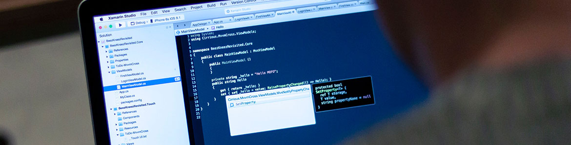 softwaredev_header