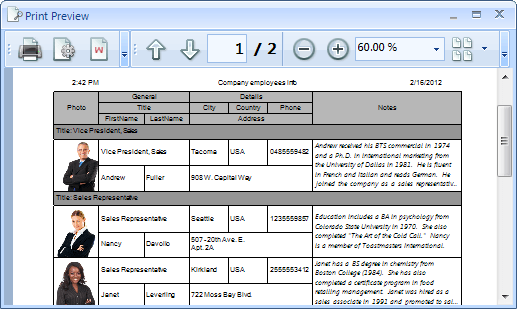 RadGridView_PrintSupport RadGridView_PrintSupport