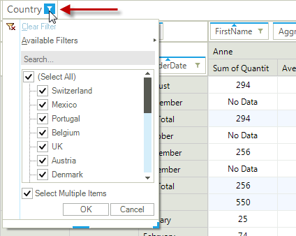 RadPivotGrid for WinForms Report Filter