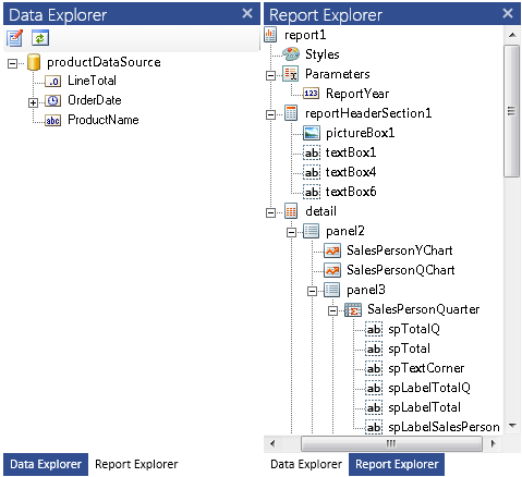 Data and Report Explorer