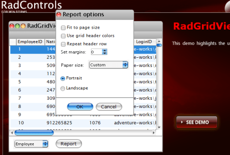 Export RadGridView to Telerik.Reporting