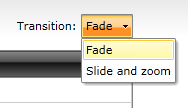 Select Transition Type