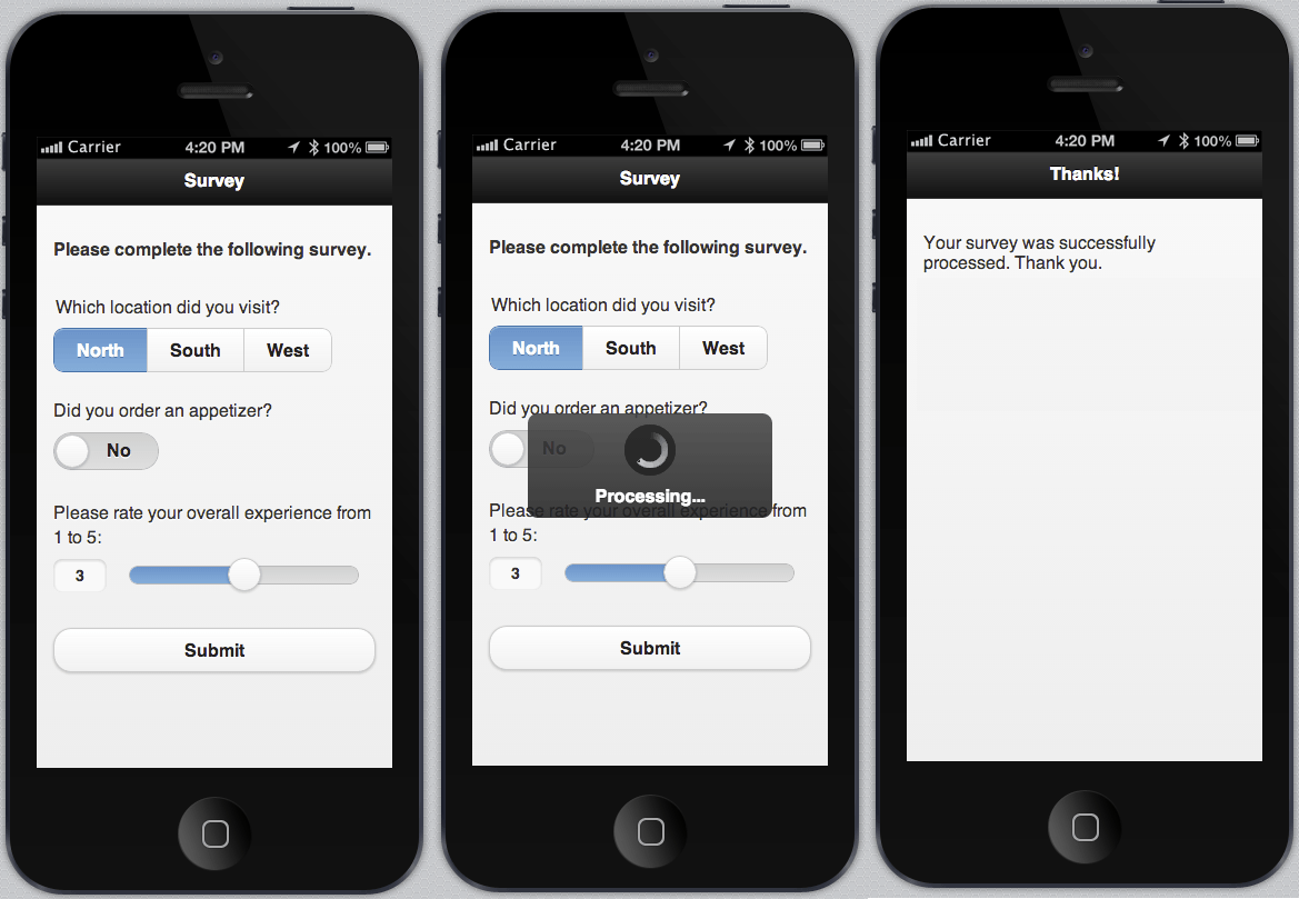 Display of the form built with jQuery Mobile in Icenium's iOS simulator