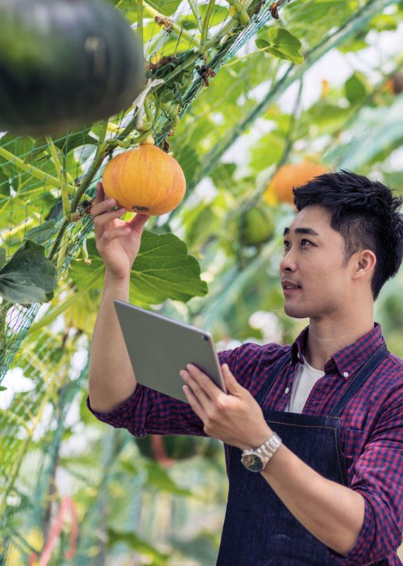 agworks-builds-complex-crop-insurance-app-in-record-time-with-telerik-ui-solutions