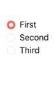 Vue-RadioButton-Component