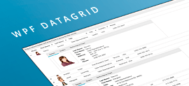 WPF DataGrid Telerik - Thumbnail Image small