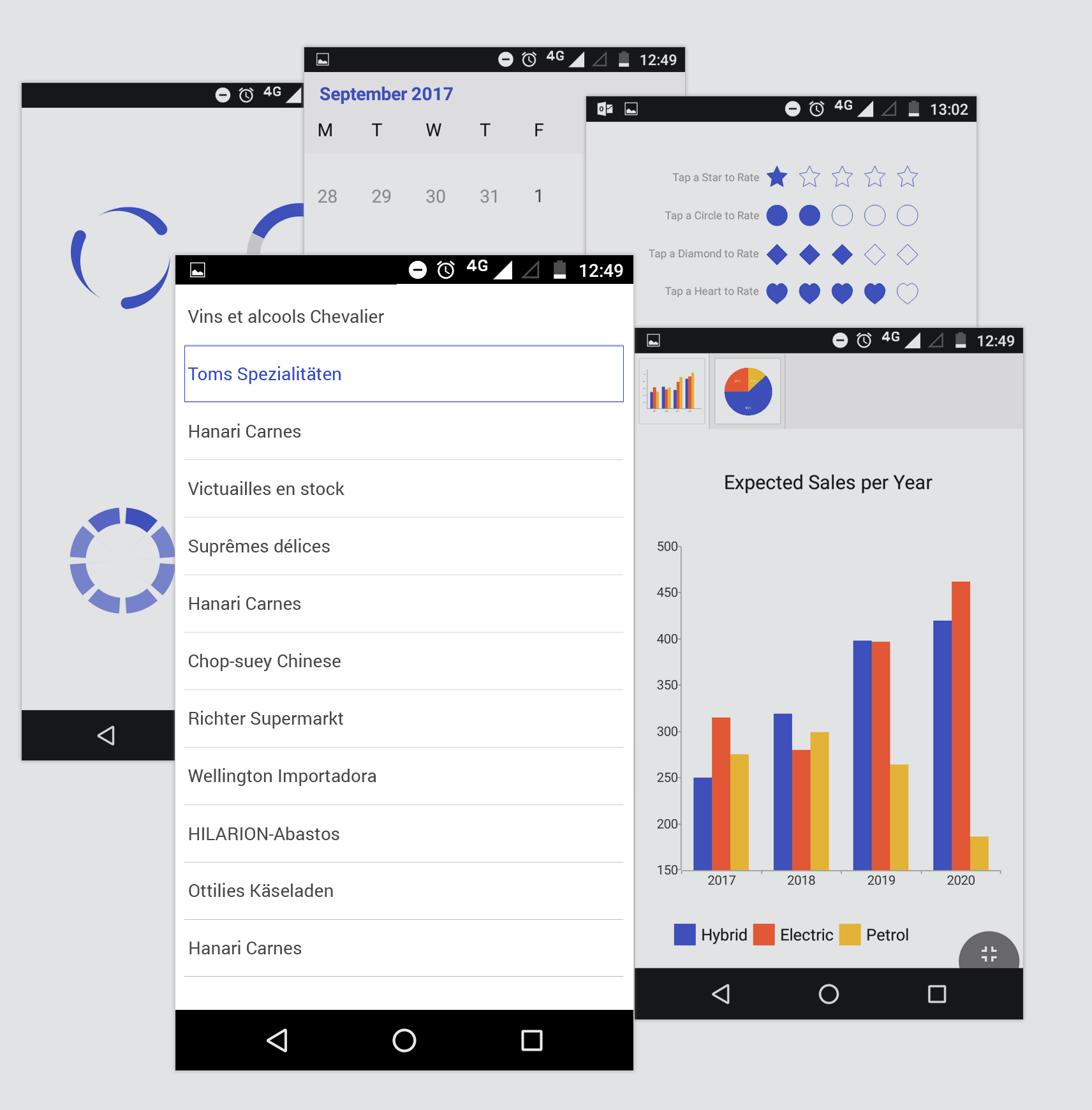 Telerik Theme Controls