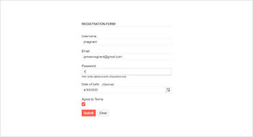 Telerik UI for JSP Form