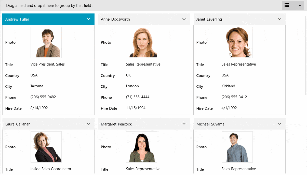 Grouping, Filtering and Sorting cardview-introduction-grouping-filtering-sorting