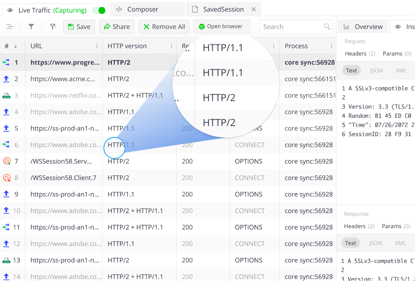 HTTP/2 Traffic Inspector