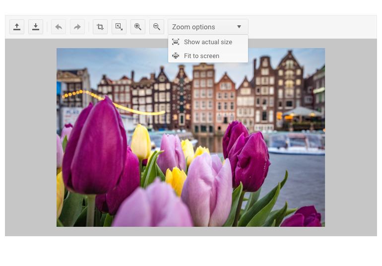 Telerik UI for ASP.NET MVC ImageEditor