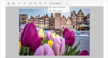 Telerik UI for ASP.NET Core ImageEditor