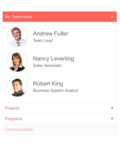 Telerik UI for ASP.NET PanelBar