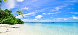 PunctualIslandTime-270x123