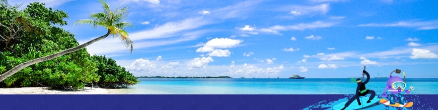 PunctualIslandTime-870x220