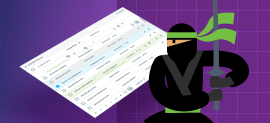 Telerik ASP.NET DataGrids
