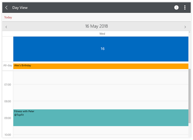 Telerik UI for UWP - Calendar - DayView Image
