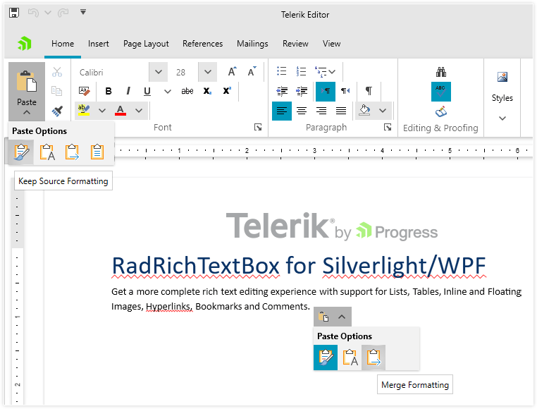 Telerik UI for WPF RichTextBox - Paste Options