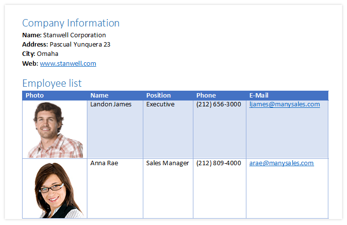 Telerik UI for WPF WordsProcessing - Bookmarks and Hyperlinks