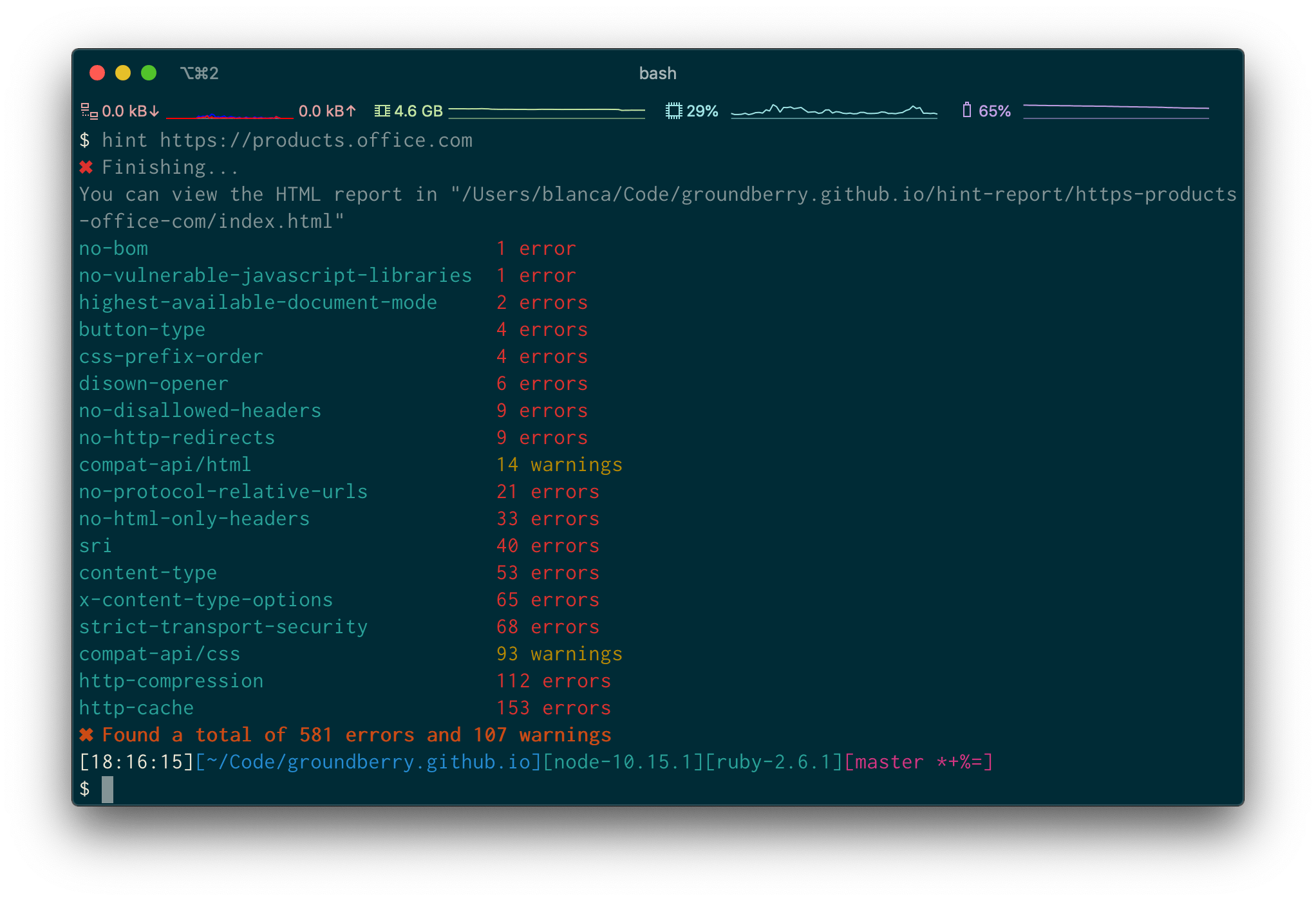 webhint-terminal webhint-terminal