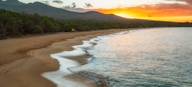 WhyEvolveMAUI-270x123