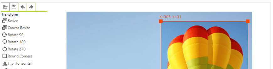 Telerik UI for WinForms Image Editor Sneak Peek Big Image