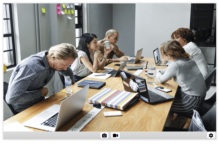 Telerik UI for WinForms WebCam Control