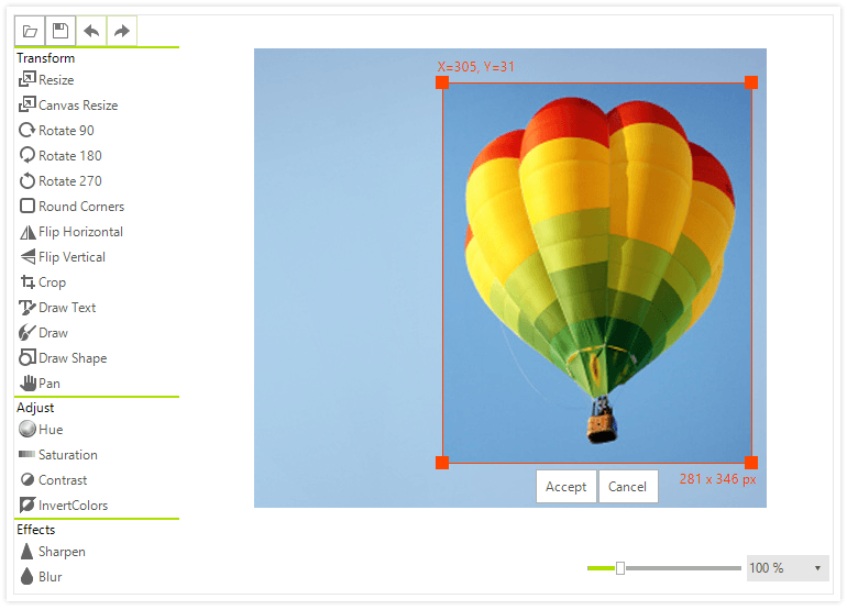 Telerik UI for WinForms - New Image Editor Control - Large Image