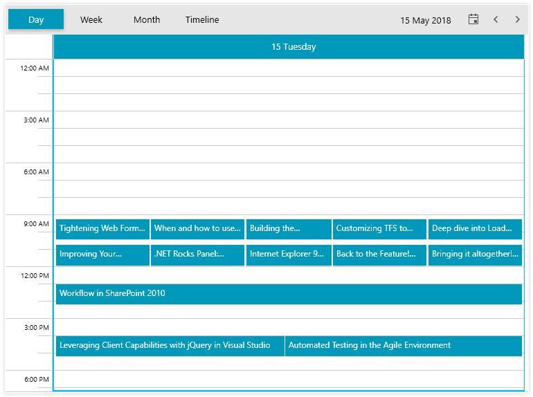 Telerik UI for WPF ScheduleView - Today View Image