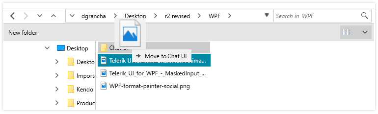Telerik UI for WPF - File Dialogs - Drag and Drop Image