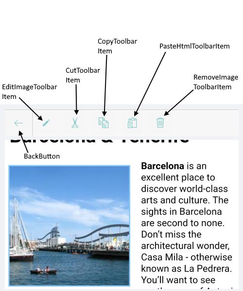 Xamarin RichTextEditor: Insert and Edit images Working with images in the Xamarin RichTextEditor - toolbar shows BackButton, EditImageToolbarItem, CutToolbarItem, CopyToolbarItem, PasteHtmlToolbarItem, RemoveImageToolbarItem