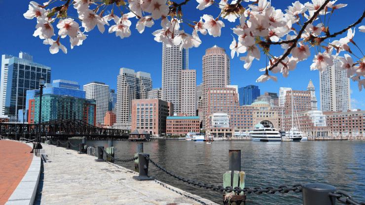 Harborwalk