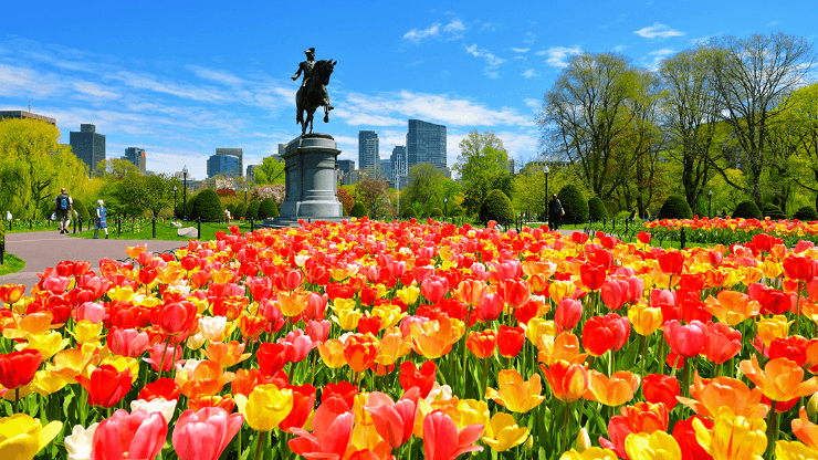 Boston Public Garden
