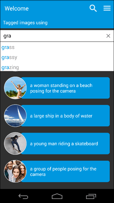 Telerik UI for Xamarin using auto complete