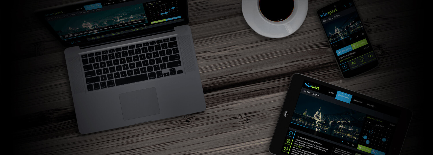 Telerik UI for ASP.NET AJAX Responsive Capabilities