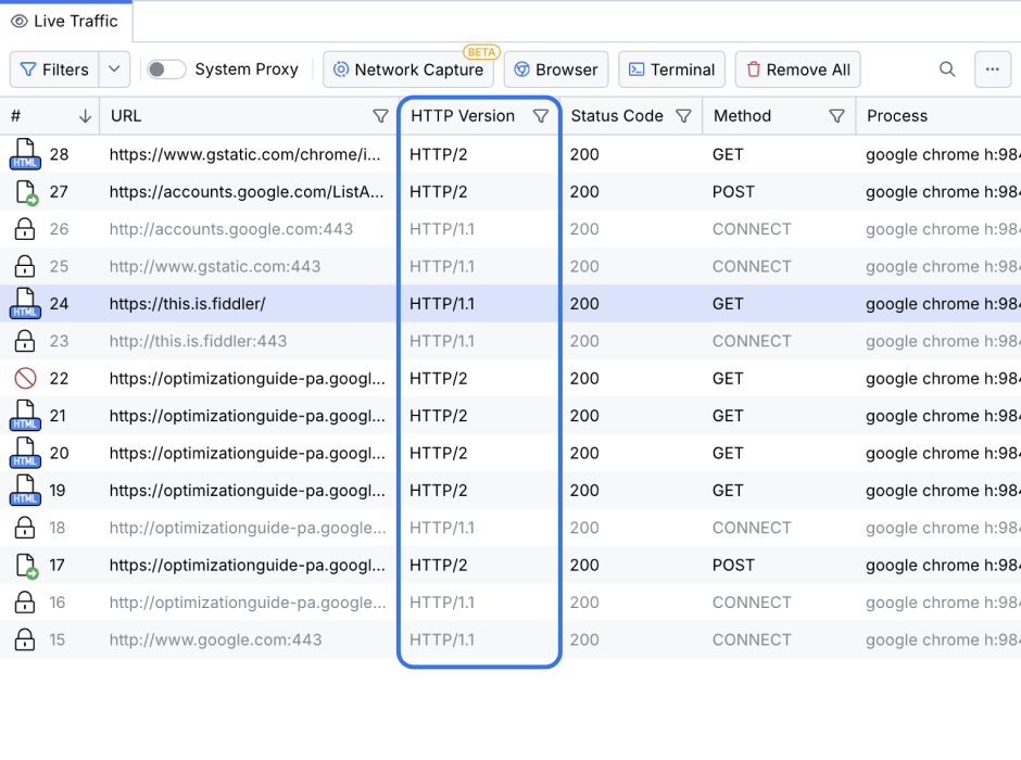 web debugging page http2