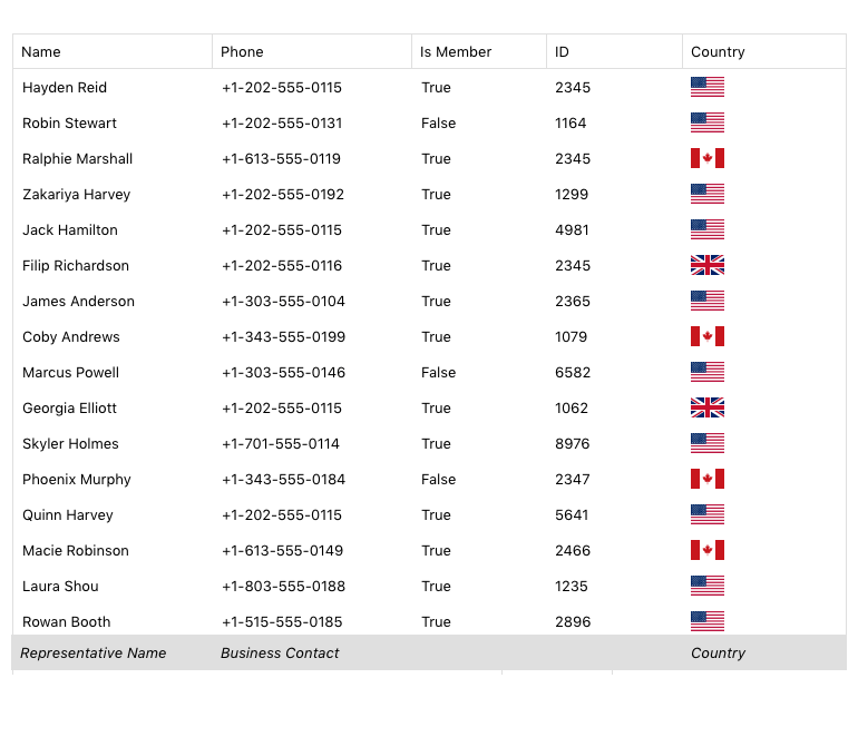.NET MAUI Data Grid Improvement: Footers