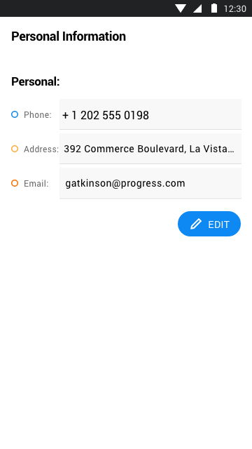 Telerik UI for MAUI Entry