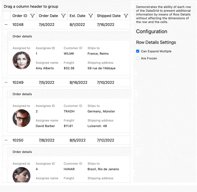 Telerik UI for NET MAUI DataGrid showing RowDetails