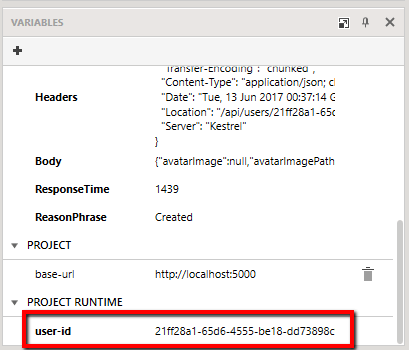 create-runtime-variable