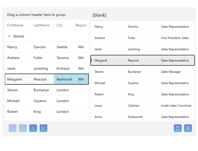WinUI CollectionNavigator Customizable Buttons