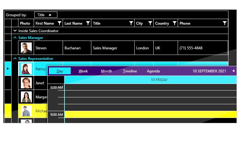 Telerik UI for WPF Office 2019 High Contrast Theme Overview