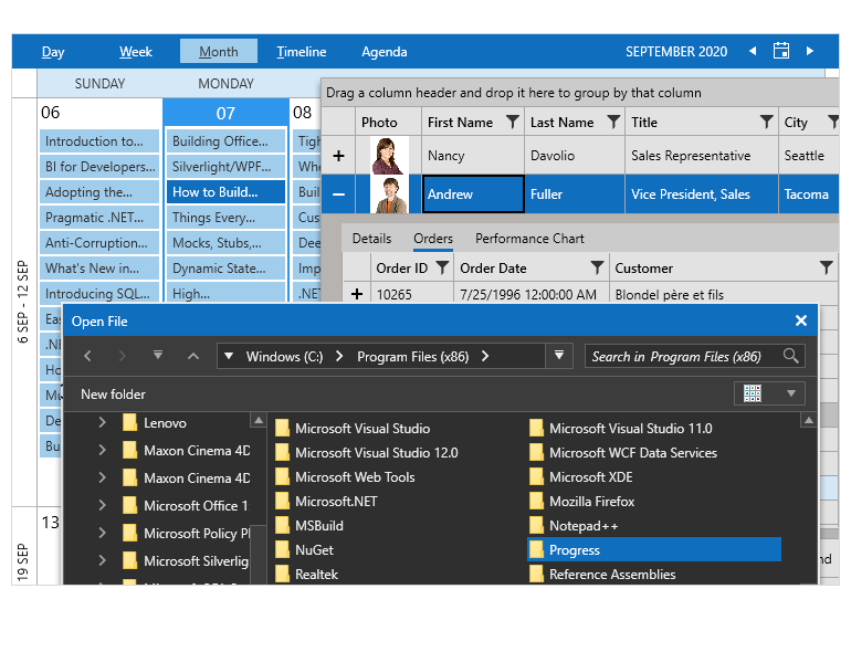 Office 2019 theme for WPF
