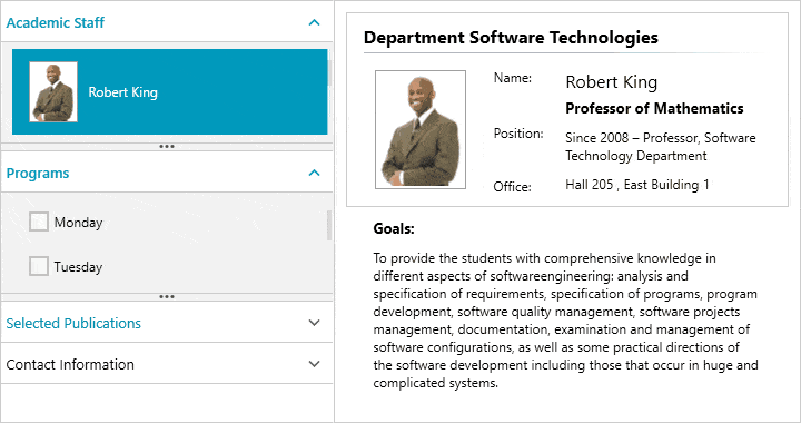 Telerik UI for WPF PanelBar Control: Resizing of PanelBarItems