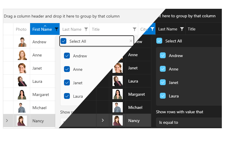 Telerik UI for WPF Windows 11 Theme