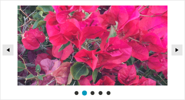 WPF PipsPager Highlight