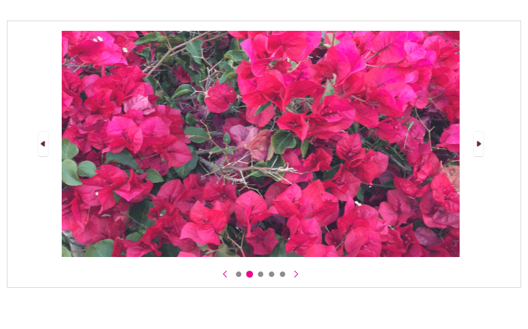 WPF PipsPager Pips items and navigation button customization
