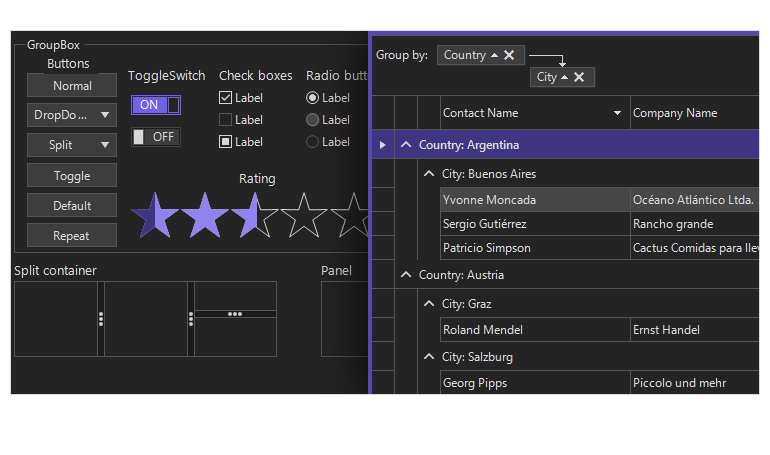 WinForms suite VisualStudio2022Dark theme