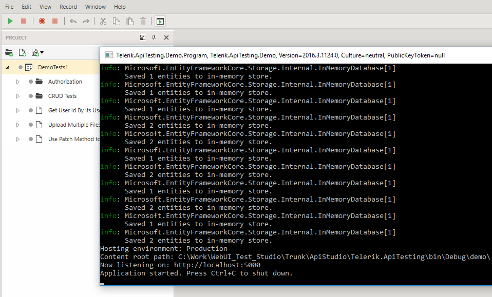 Run demo application